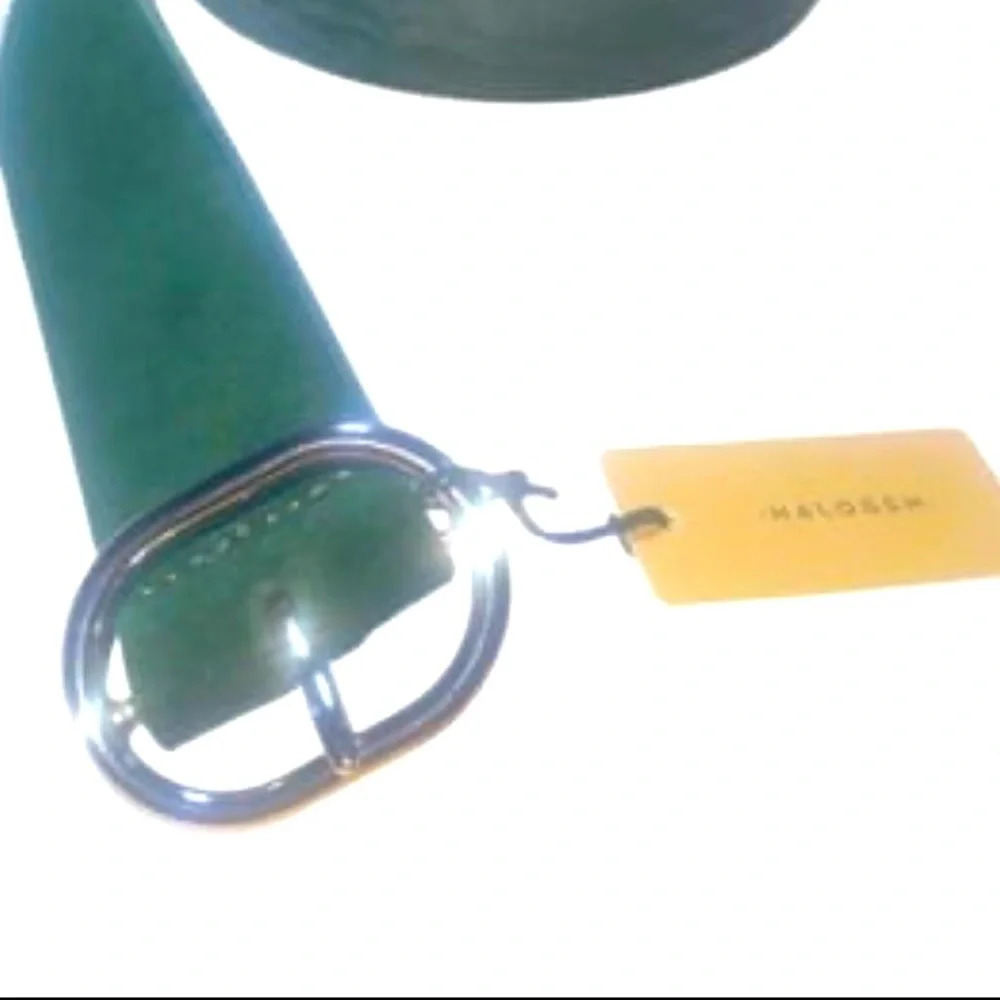 NWT Halogen Green Seude Belt